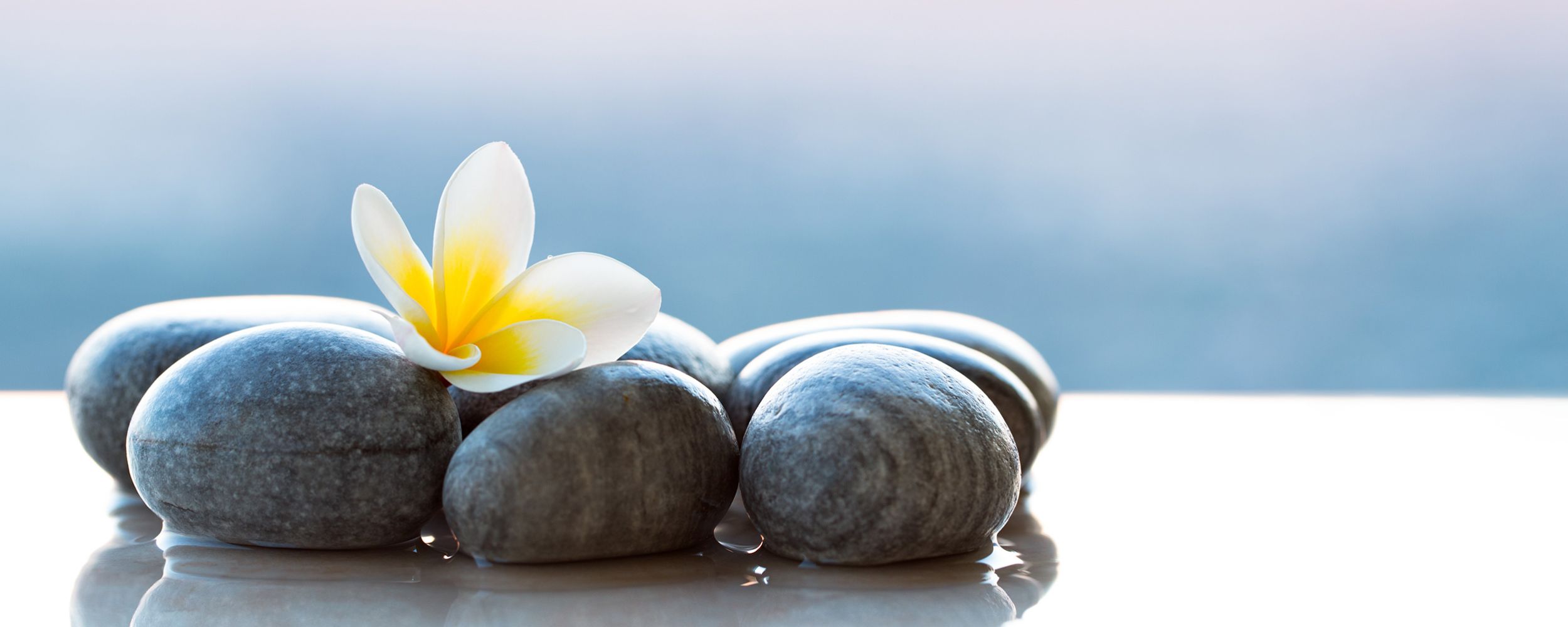 Gentle Sedation for Nervous Patients