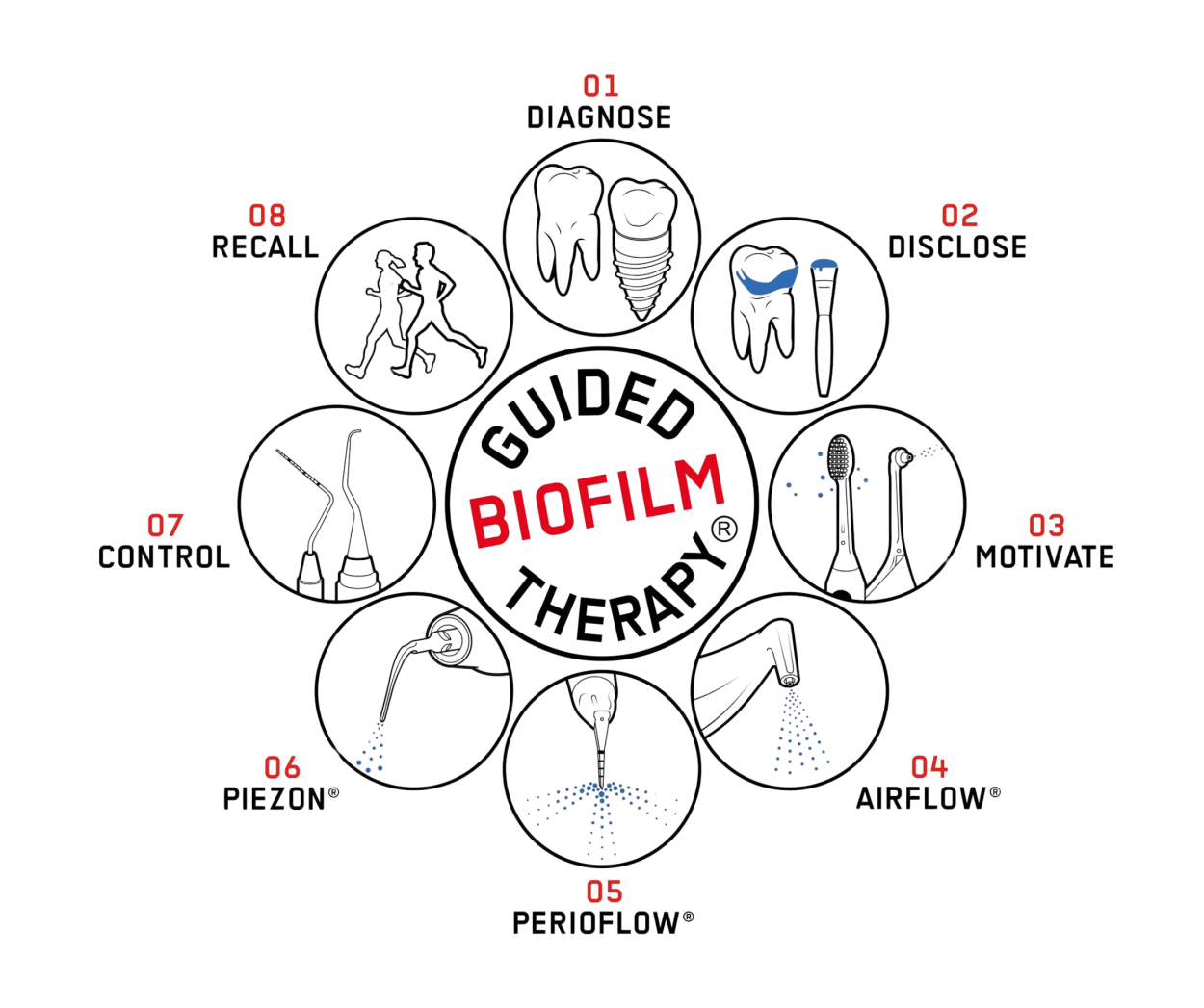 biofilm